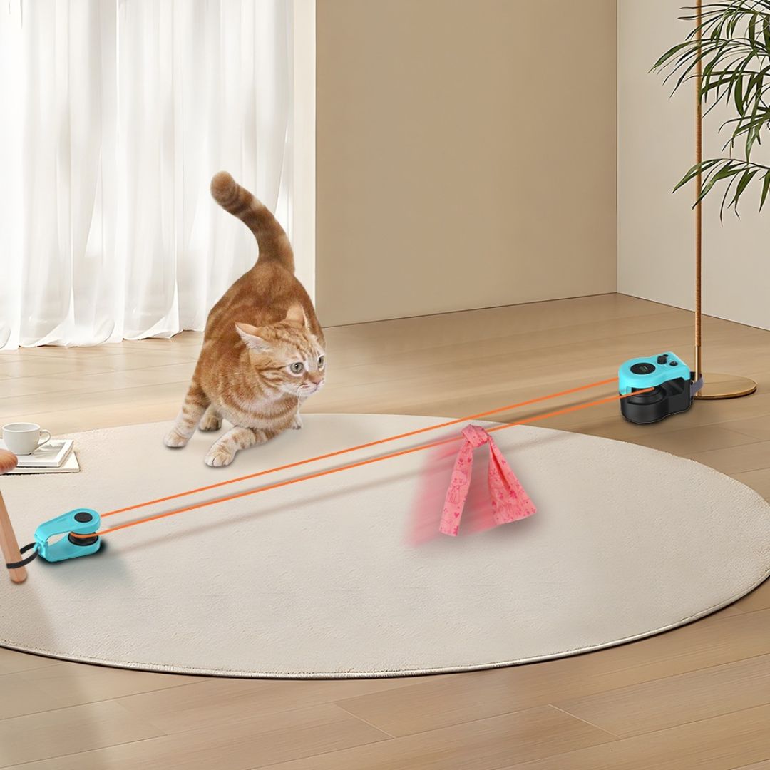 Cat Weight Loss Remote Control Sound Toy