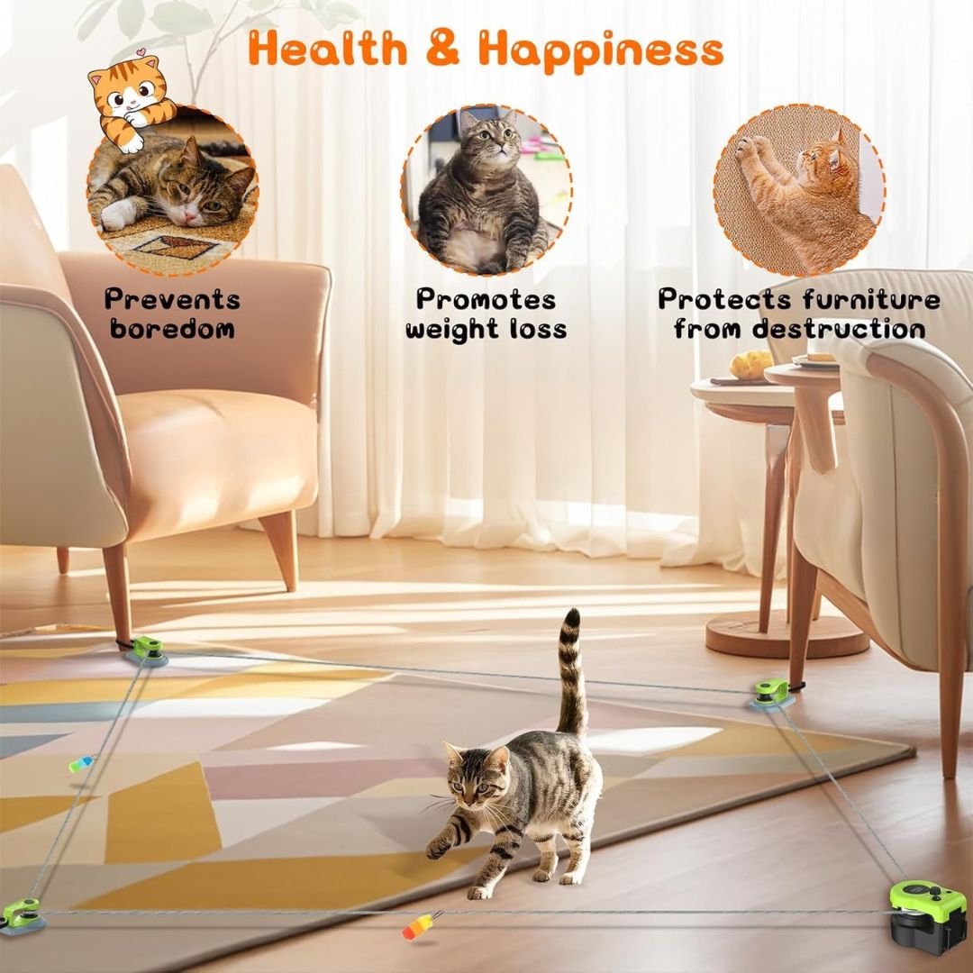 Cat Weight Loss Remote Control Sound Toy
